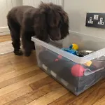 Pottery Gate, Semesterbostad Bowness-on-Windermere