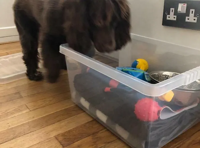 Pottery Gate, Holiday home Bowness-on-Windermere